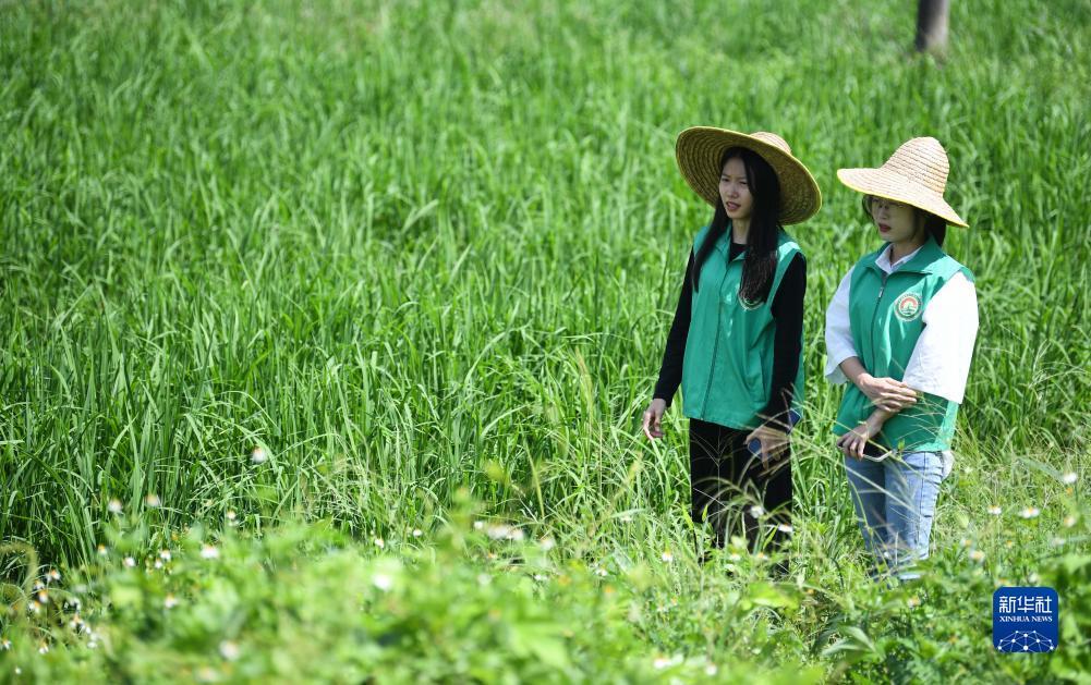 太阳城登入